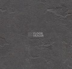 Линолеум Forbo Marmoleum Decibel on Order e372535 welsh slate фото 1 | FLOORDEALER